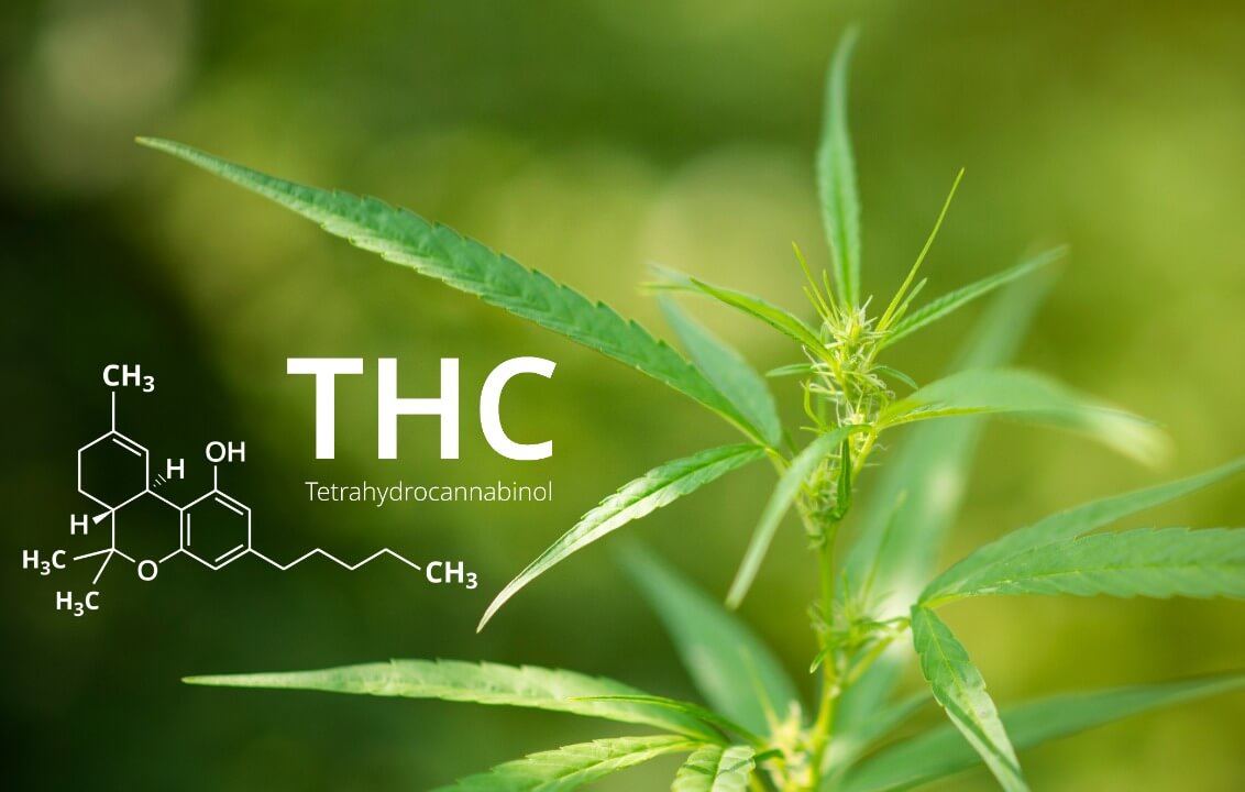 THC 1