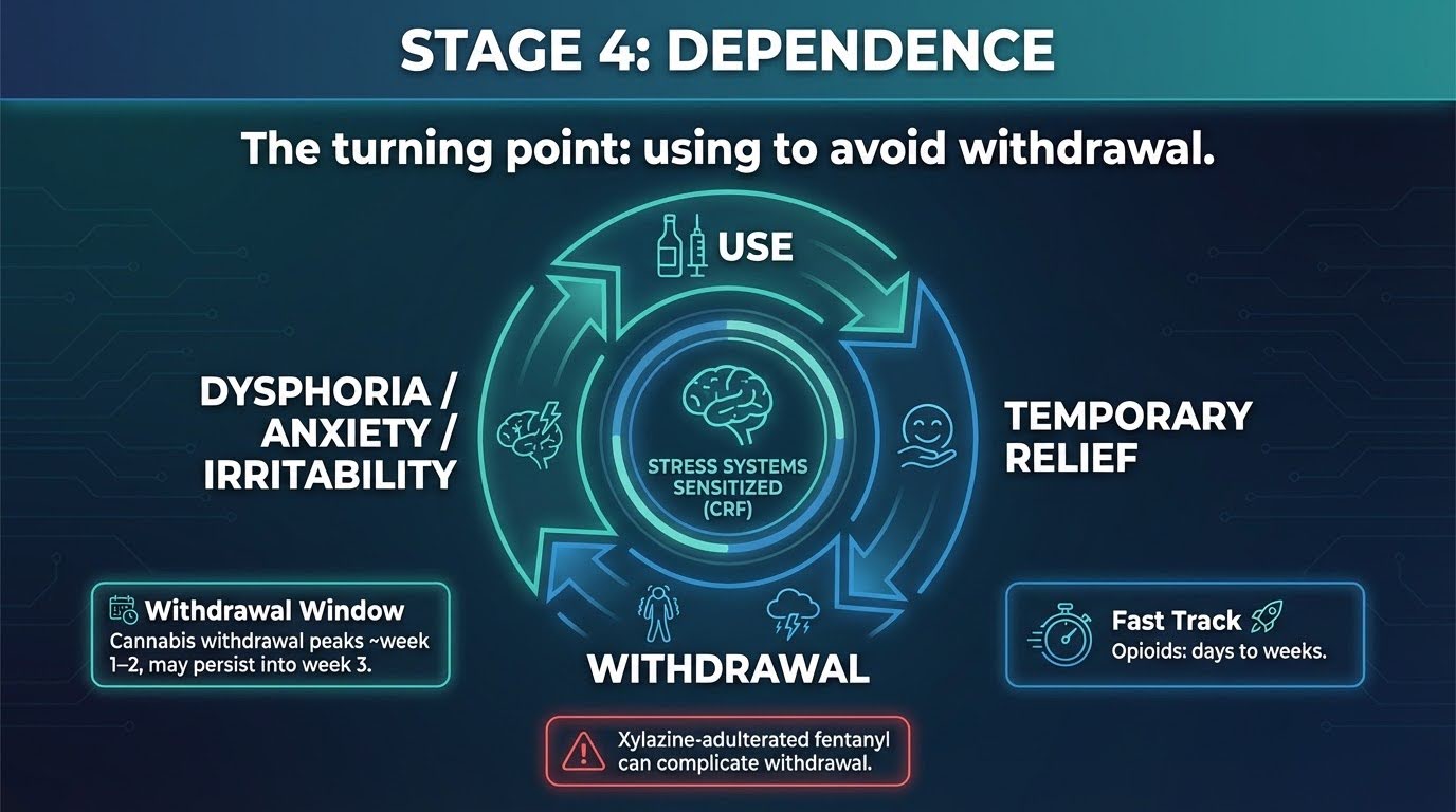 The 5 Stages of Addiction And Why They Matter for Recovery?