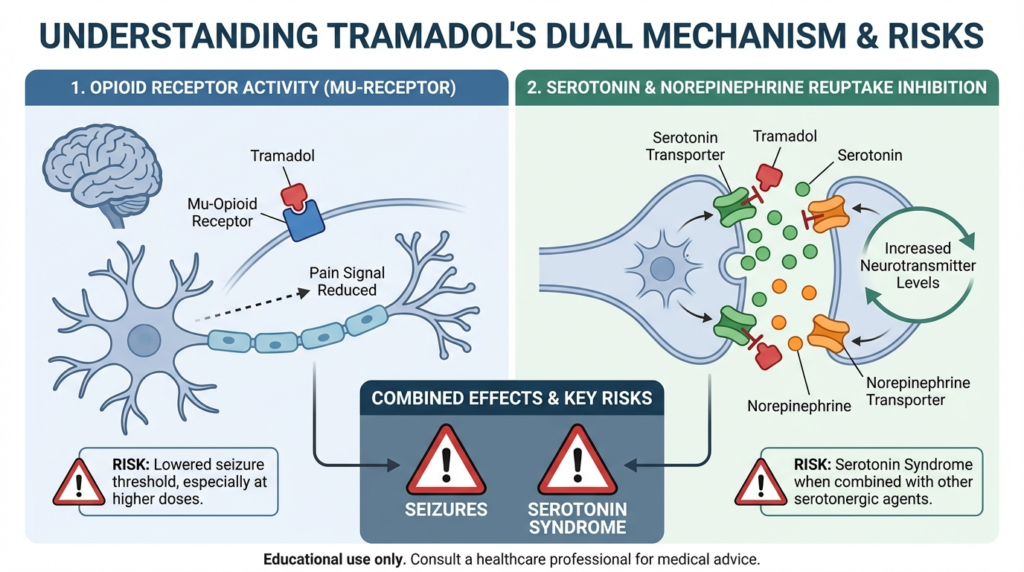 tramadol and alcohol interaction